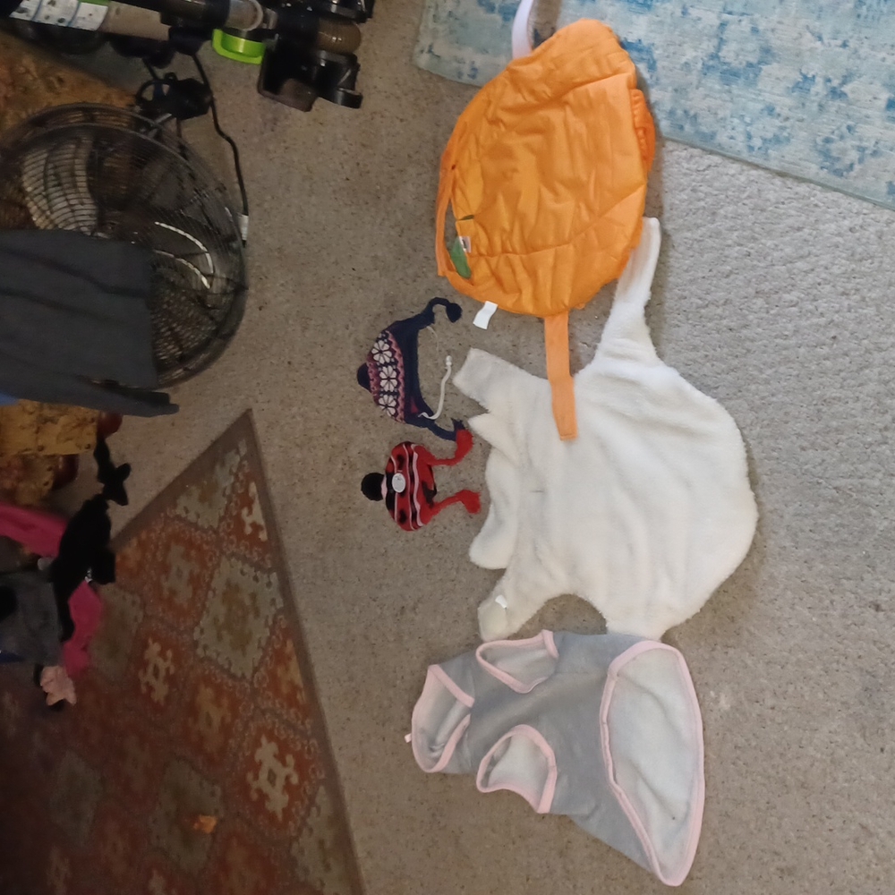 PET SUPPLIES FOR DOGS/CATS - Picture 12 of 13